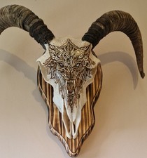 Real Sheep Skull,Horns, Celtic Wolf  Pyrography  Burn Design.  Handcrafted burn.