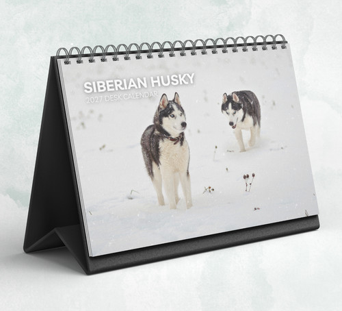 Siberian husky desk calendar - siberian,