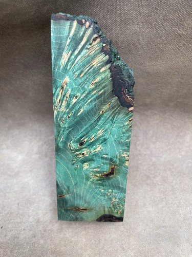 Stabilised wood maple burr - stabilised,