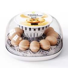 12 Chicken Egg Incubators for