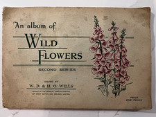 An Album of Wild Flowers W.D &