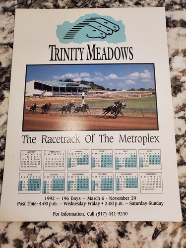 Trinty meadows horse - meadows, racing