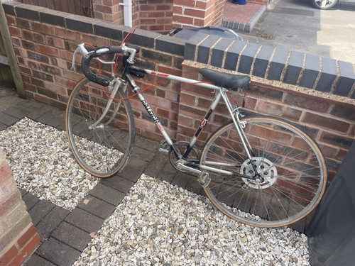 Raleigh winner racing - raleigh,
