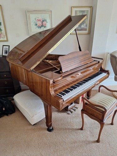 Elysian baby grand piano - baby,