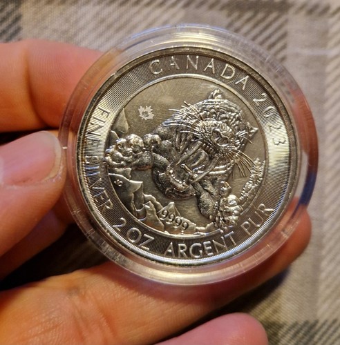 2023 canadian sabre tooth - 2023,