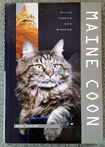 Maine coon sluiter - ,