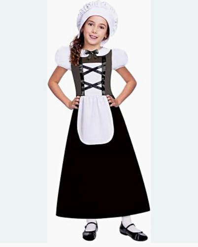 Tudor girl costume - costume, dress