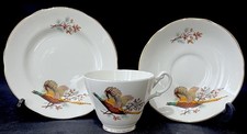 Royal Stuart Vintage “Pheasant Pattern”Bone China Tea Cup, Saucer & Plate Trio 