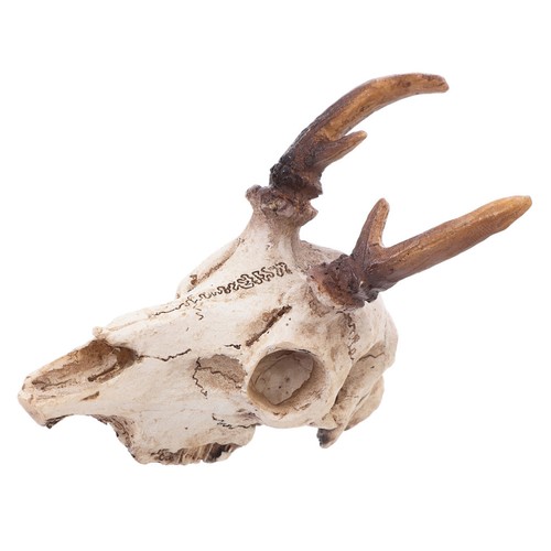 Snake hide fake skull - snake,