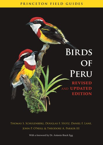 Birds peru revised and - birds,