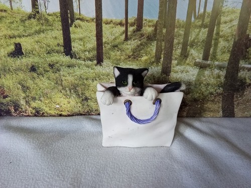 Playful kitten leonardo - playful, kitten,