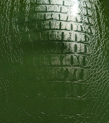 Green textured crocodile skin - crocodile,