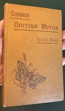 Common British Moths.  12