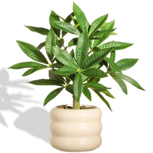 Fake ficus plant in - 12",