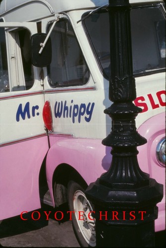 35mm slide whippy - mr, pink
