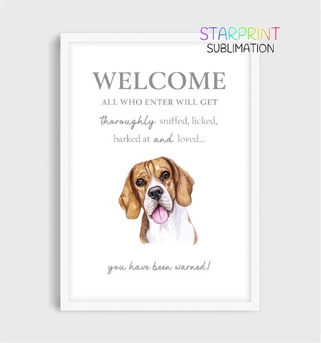 Beagle welcome - beagle, "welcome"