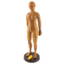 AFemale Human Body Acupuncture