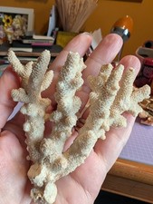 Antique Vintage Beautiful