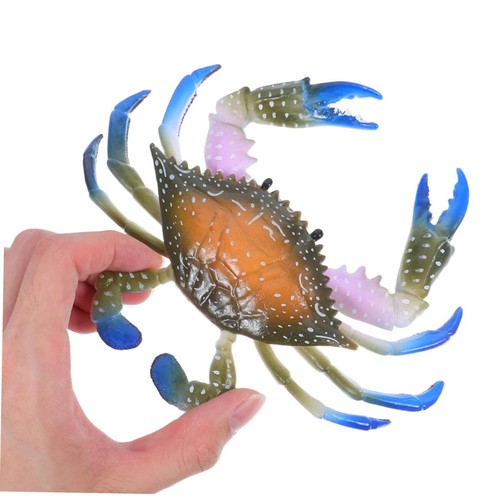 Realistic crab model highly - crab,