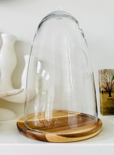 Large glass display - glass, cloche