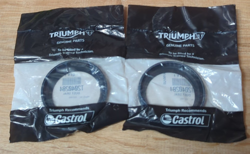 Triumph tiger 885i 995i - ,
