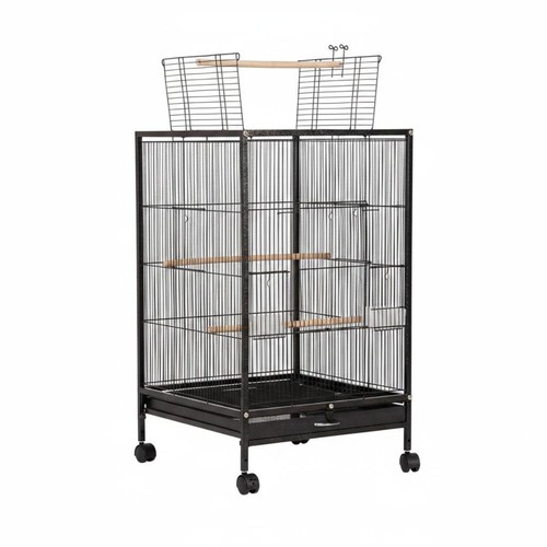 Parrot enclosure easy - parrot,