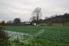 Photo 6x4 Fodder crop by the