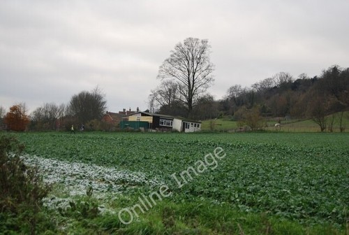 Photo 6x4 fodder crop the - crop, by