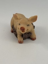 Leonardo Collection Pig