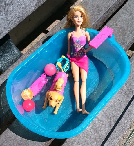 Barbie puppy chase - puppy,