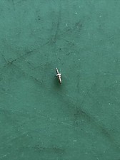 Bauer Calibre  5014-3 Balance