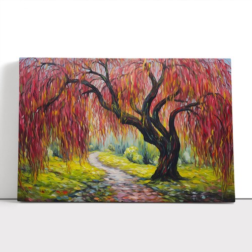 Weeping willow tree - willow,