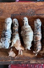 Wealth & Abundance Spell