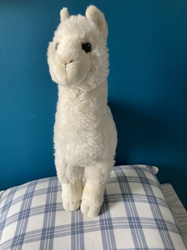 Aurora miyoni alpaca - alpaca, llama