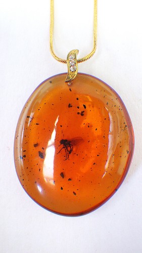 Amber resin pendant with