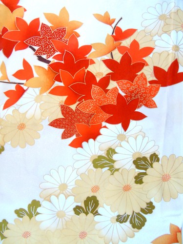 Ayane maple chrysanthemums - [ayane], &