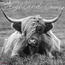 Black & White Highland Cows