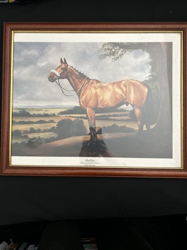 Limited edition signed - edition, red