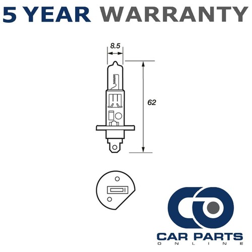 Bulbs manual front cpo - bulbs, fits