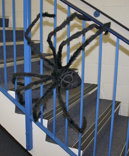 Huge giant furry spider - giant,