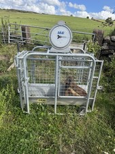 IAE LIVESTOCK SCALES