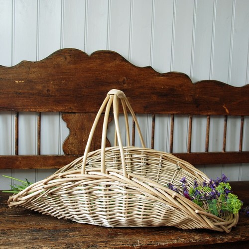 Classic willow bury - willow, garden