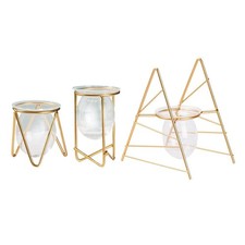 Desktop Planter Plant