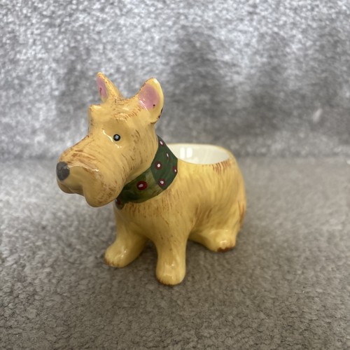 Scottie dog wearing - scottie,