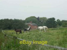 Photo 6x4 Rough Grazing