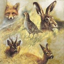 4x Single Paper Napkins for