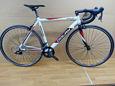 DOLAN PREFFISIO 53cm, Slightly