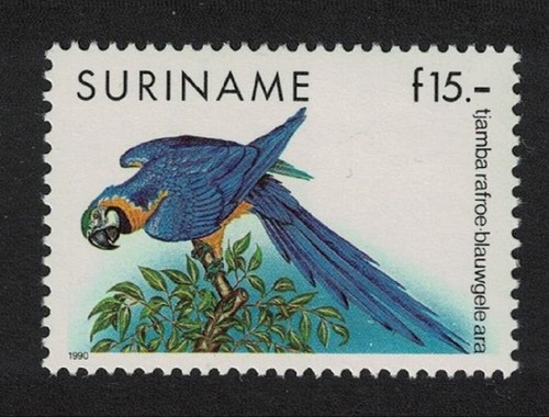 Blue and yellow macaw - , bird