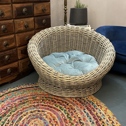 Vintage dog cat - vintage, basket