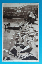 CORNWALL, ST. IVES, COMIC, SEAGULLS, 1939 PMK, EDWARDS, CORNERSWELL RD, PENARTH